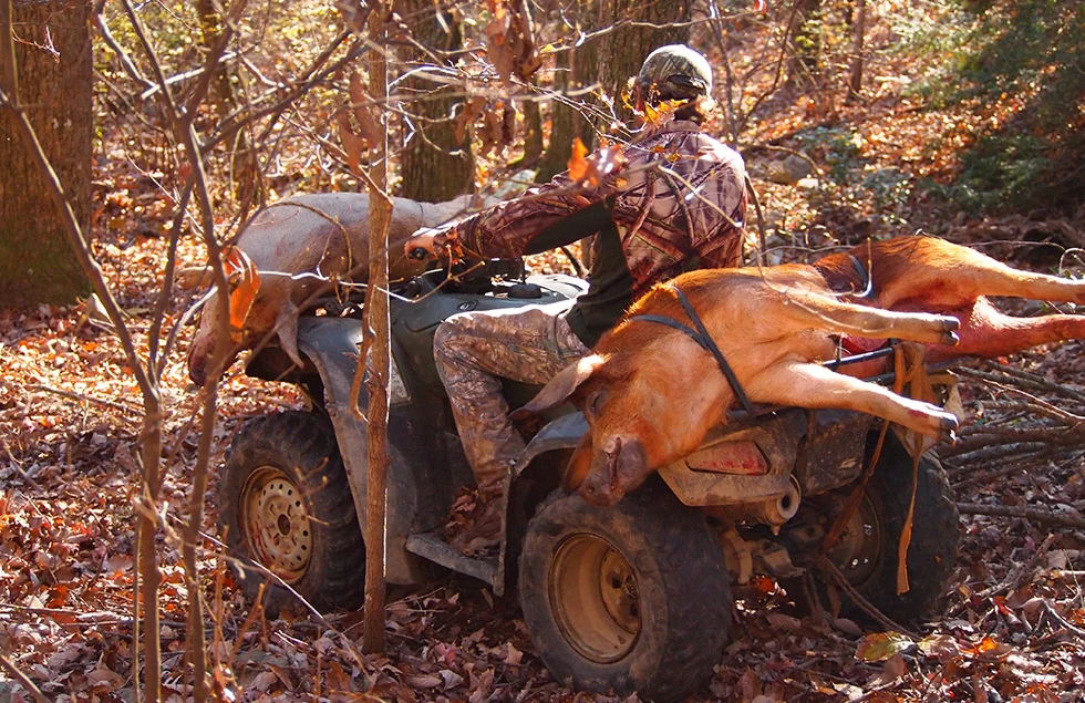 A person in camouflage riding an all-terrain vehicle through the woods, carrying a rifle while on a hunting expedition