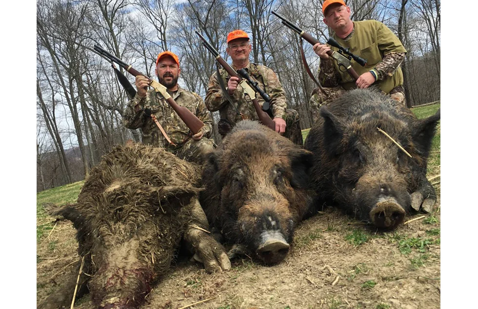 Group of hunters with rifles and wild boar they have hunted