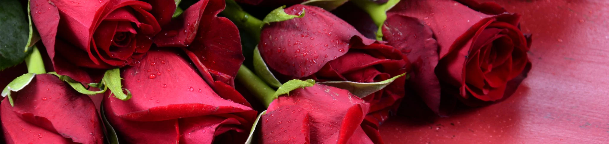 Red rose floral bouquet banner for Valentine's Day