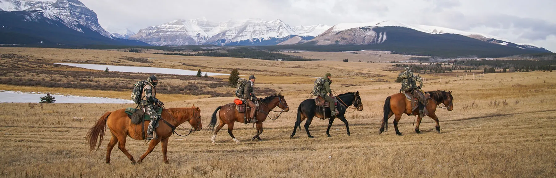 Henry Rifles, Kika, Civilware Iron Sights