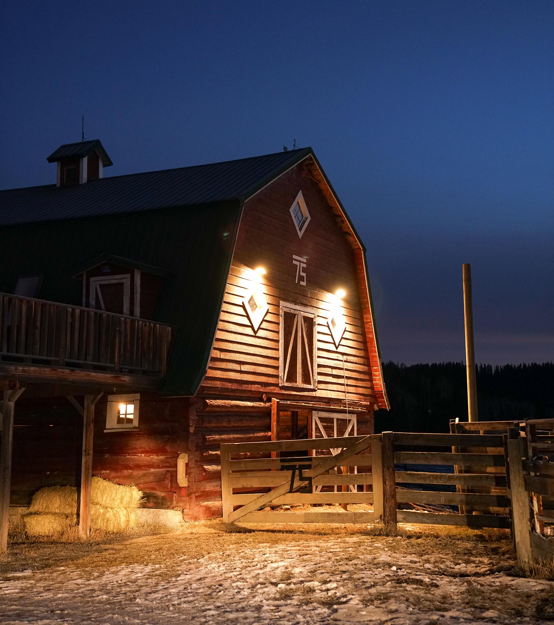 Henry Rifles Iron Sights- barn at night