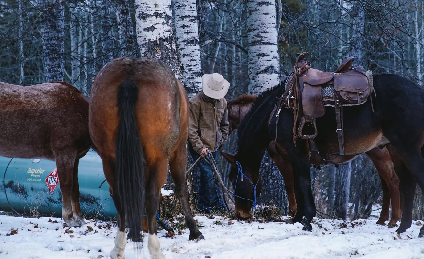 Henry Rifles Iron Sights- horses