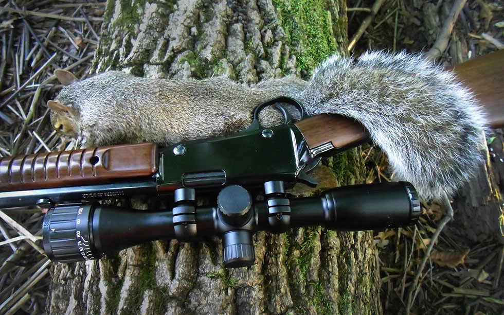 Henry Rifles-Hunting Small Game