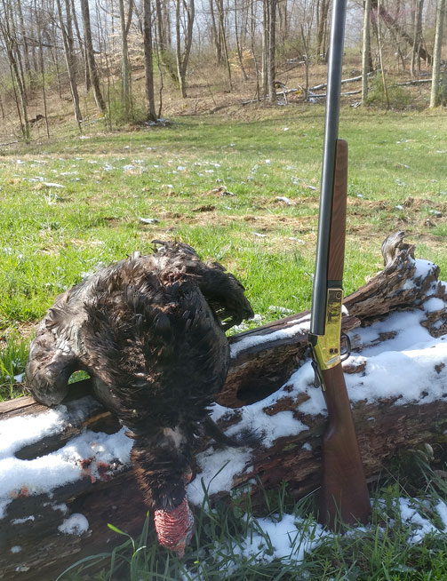 Henry Rifles-Hunting Turkey