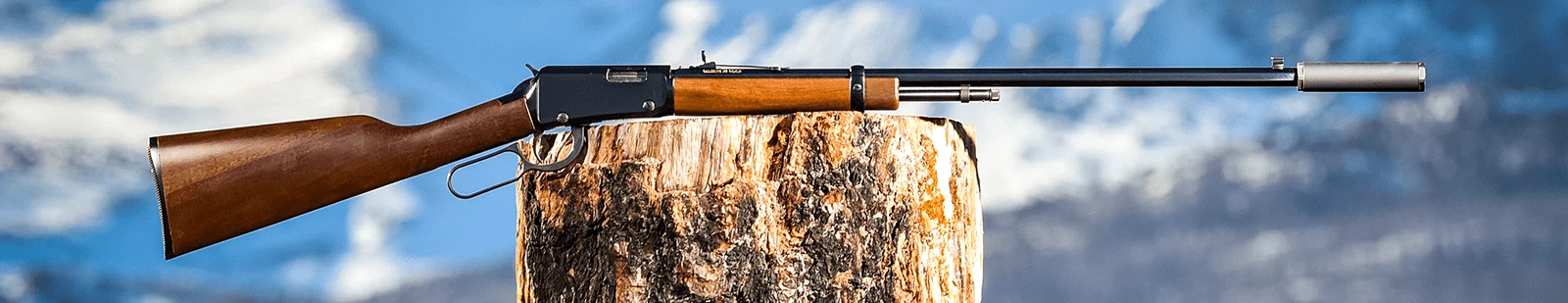 A Henry lever-action rifle resting on a wooden tree stump against a cloudy sky background