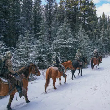 Henry Rifles Blog- Iron Sights