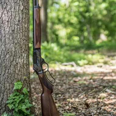 Henry Rifles-Blog-H009