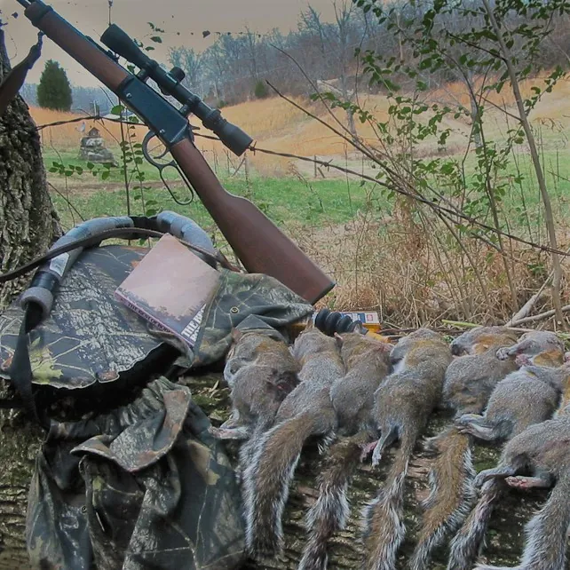 hunted squirrels on display with Henry rifle