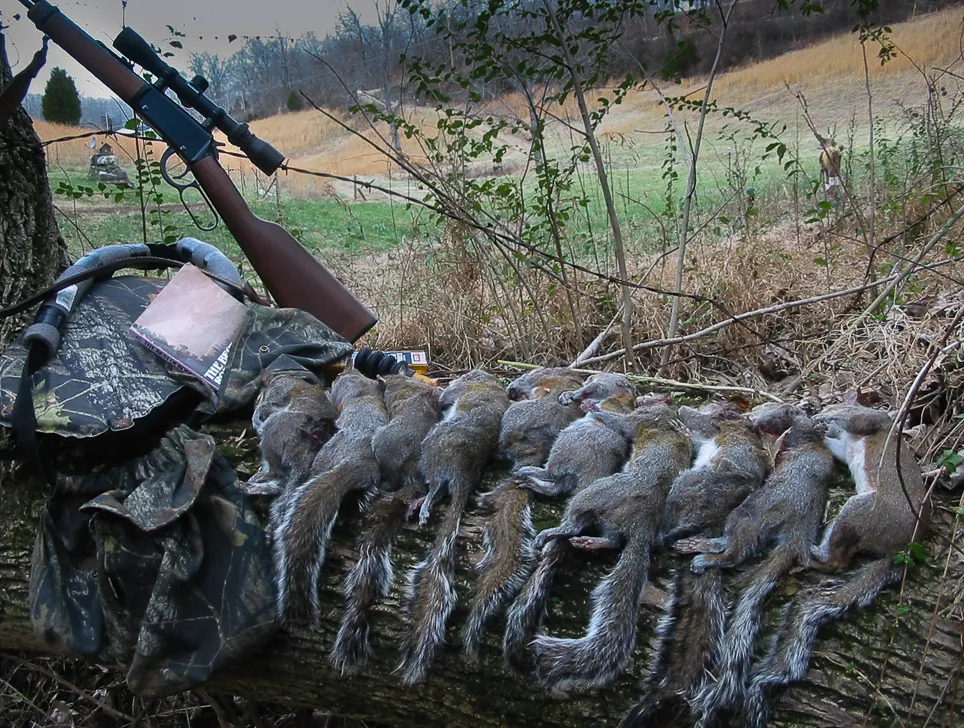 hunted squirrels displayed on a log with a Henry rifle