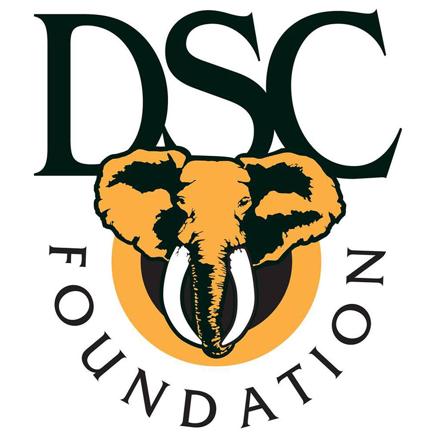 DCS Foundation