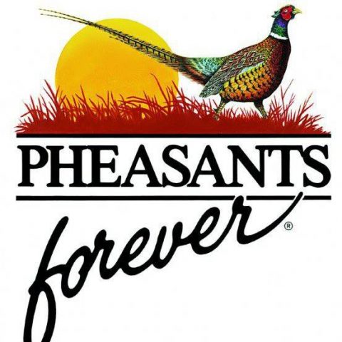Pheasants Forever