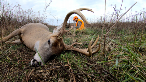 Deer antlers in the foreground with a hunter in the background