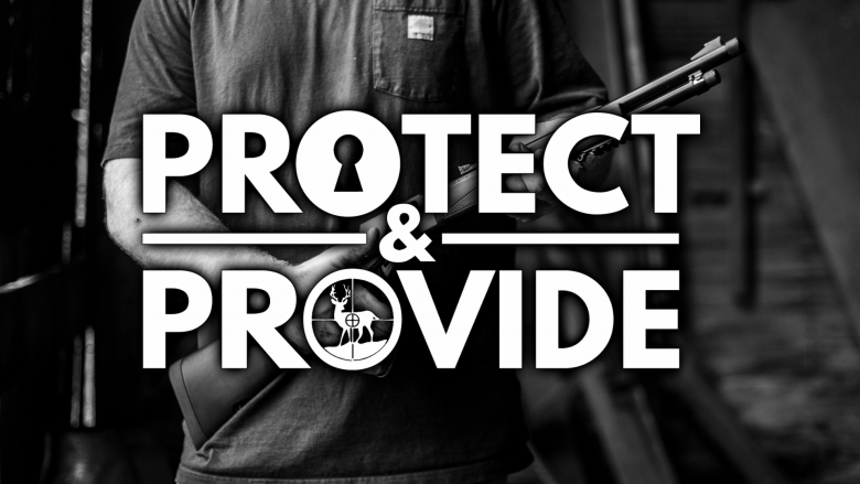 Protect & Provide logo