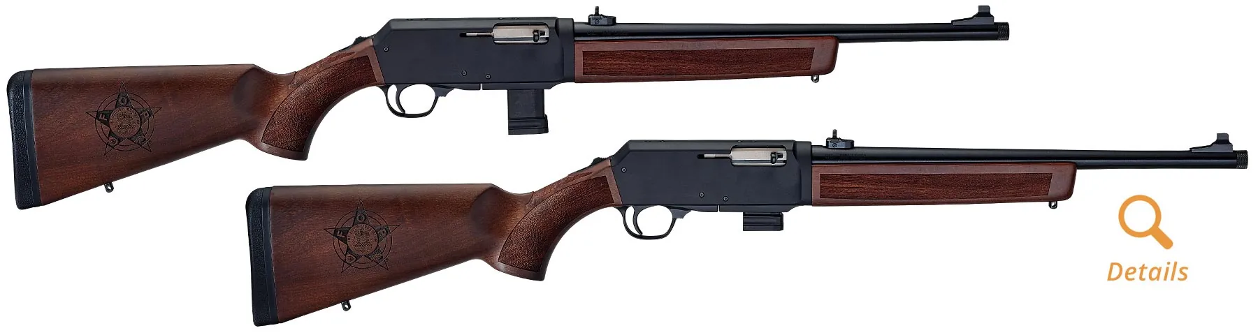 Custom Henry Homesteader 9mm