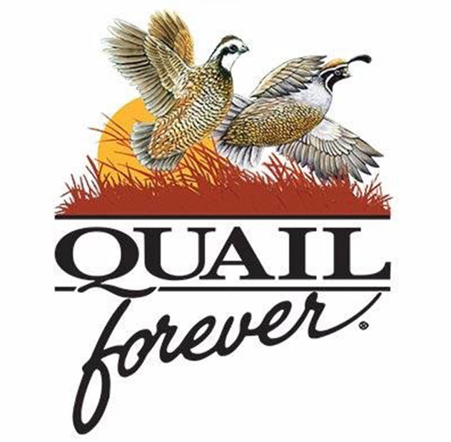 Quail Forever No Child Child Left Indoors Program