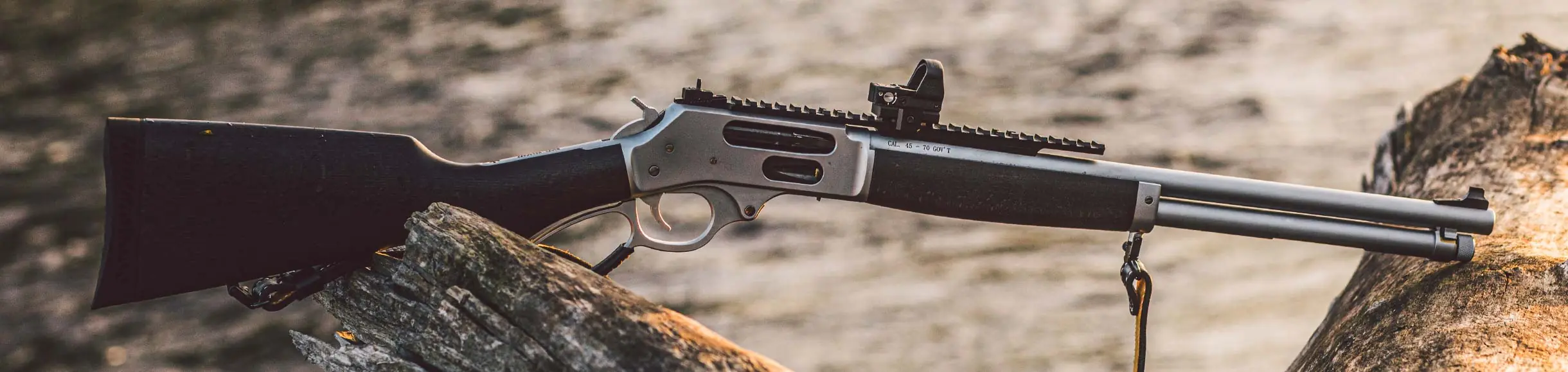.45-70 Gov't