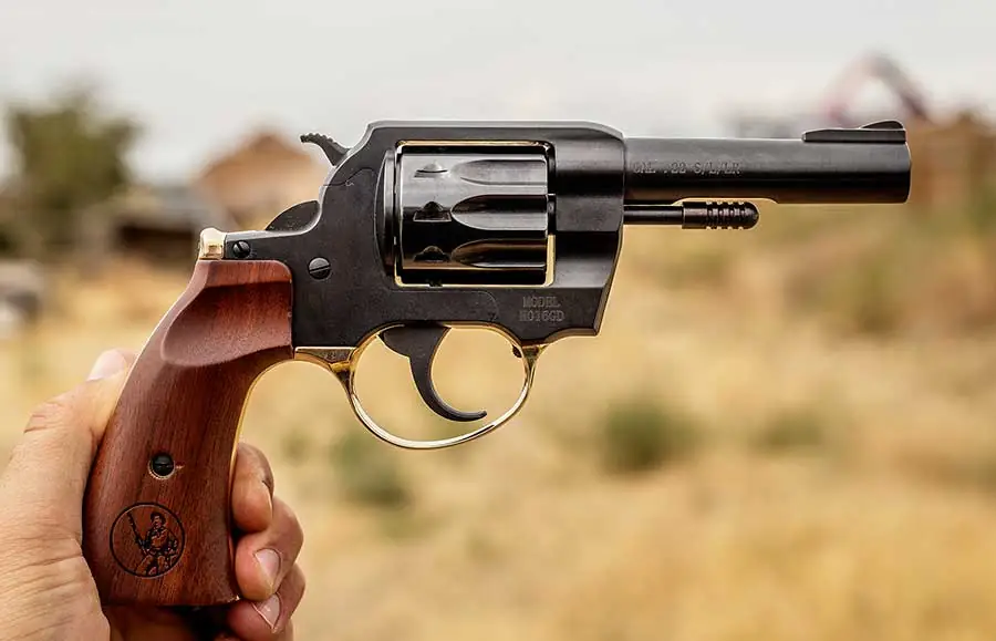 Henry Repeating Arms custom lever-action rifle with wood stock and silver-colored metal parts