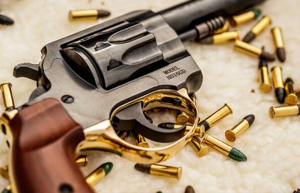 H16 Golden Boy Revolver | Henry Repeating Arms