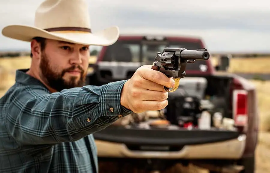 Henry Repeating Arms custom lever-action rifle with wood stock and silver-colored metal parts