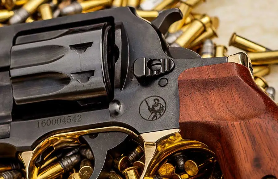 Henry Repeating Arms custom lever-action rifle with wood stock and silver-colored metal parts