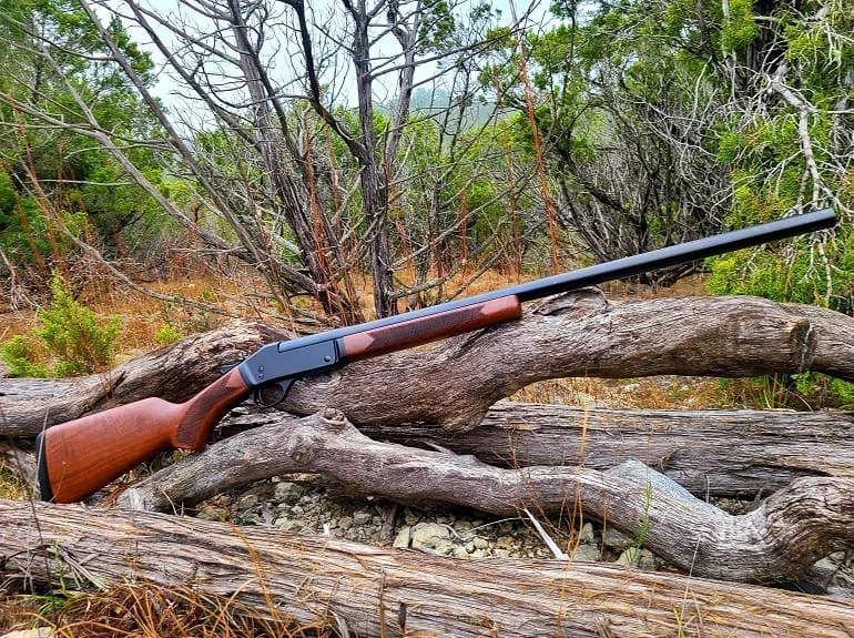 Double-barreled shotgun with wooden stock resting across weathered logs in a dry woodland.