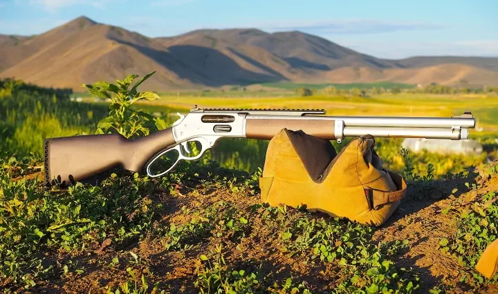 Lever-action rifle with wooden stock resting on soil and low vegetation, hills in the distance, outdoors.