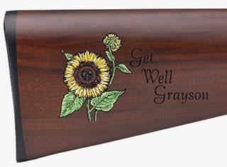 Henry Frontier lever-action rifle with classic wood stock and engraved receiver