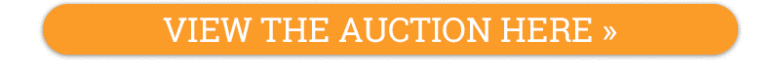 View the Auction Here