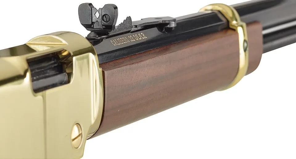 H004 Golden Boy-Sight