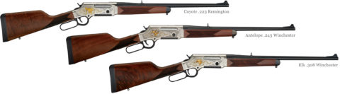 The Long Ranger Wildlife Edition